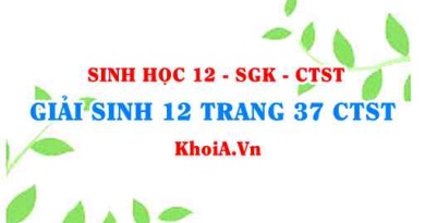 Giải Sinh 12 trang 37 Chân trời Sáng tạo